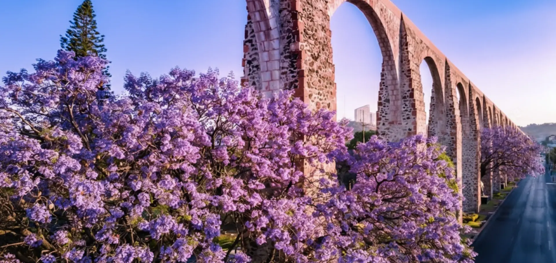 Acueducto Queretaro - Hotel Señorial