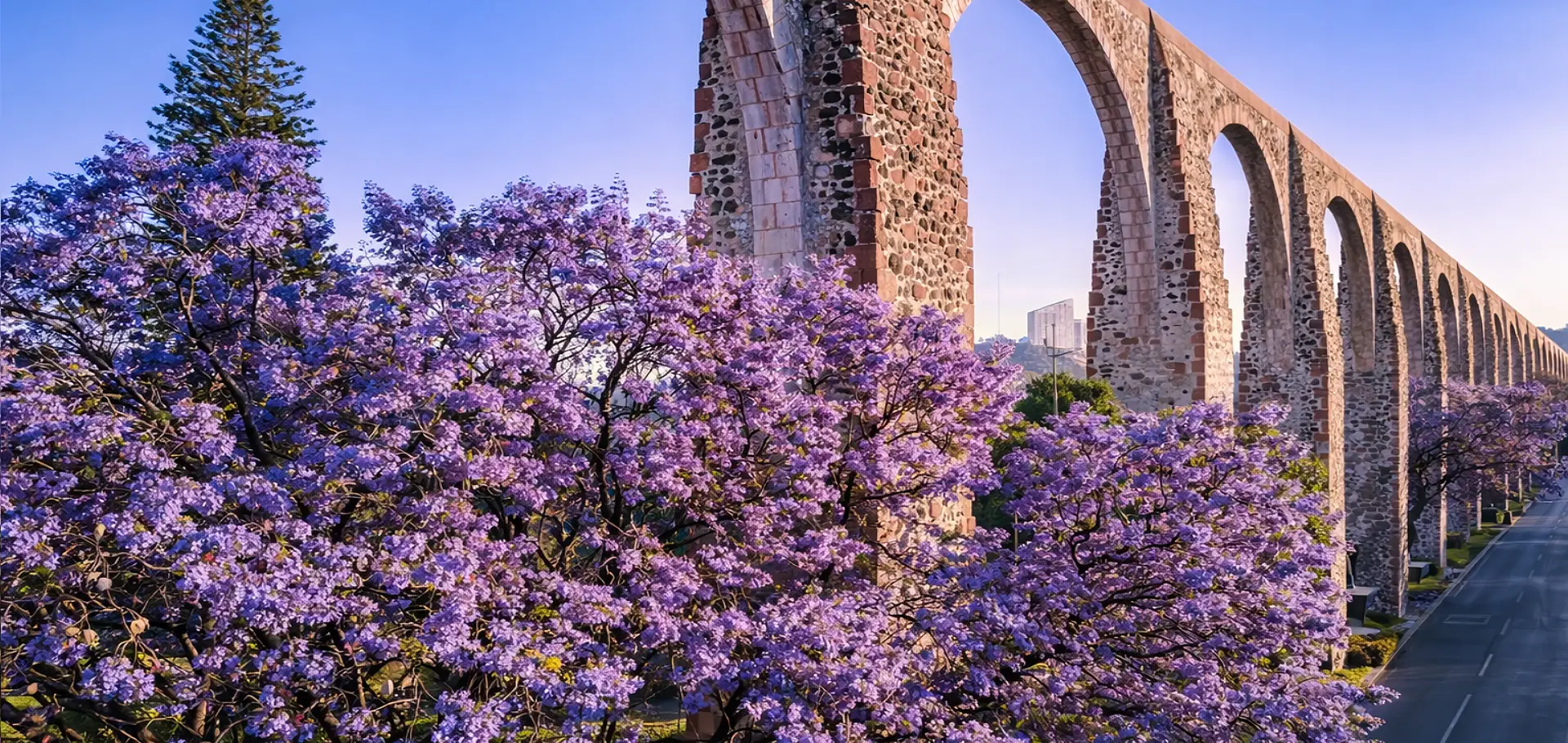 Acueducto Querétaro, Hotel Señorial Querétaro